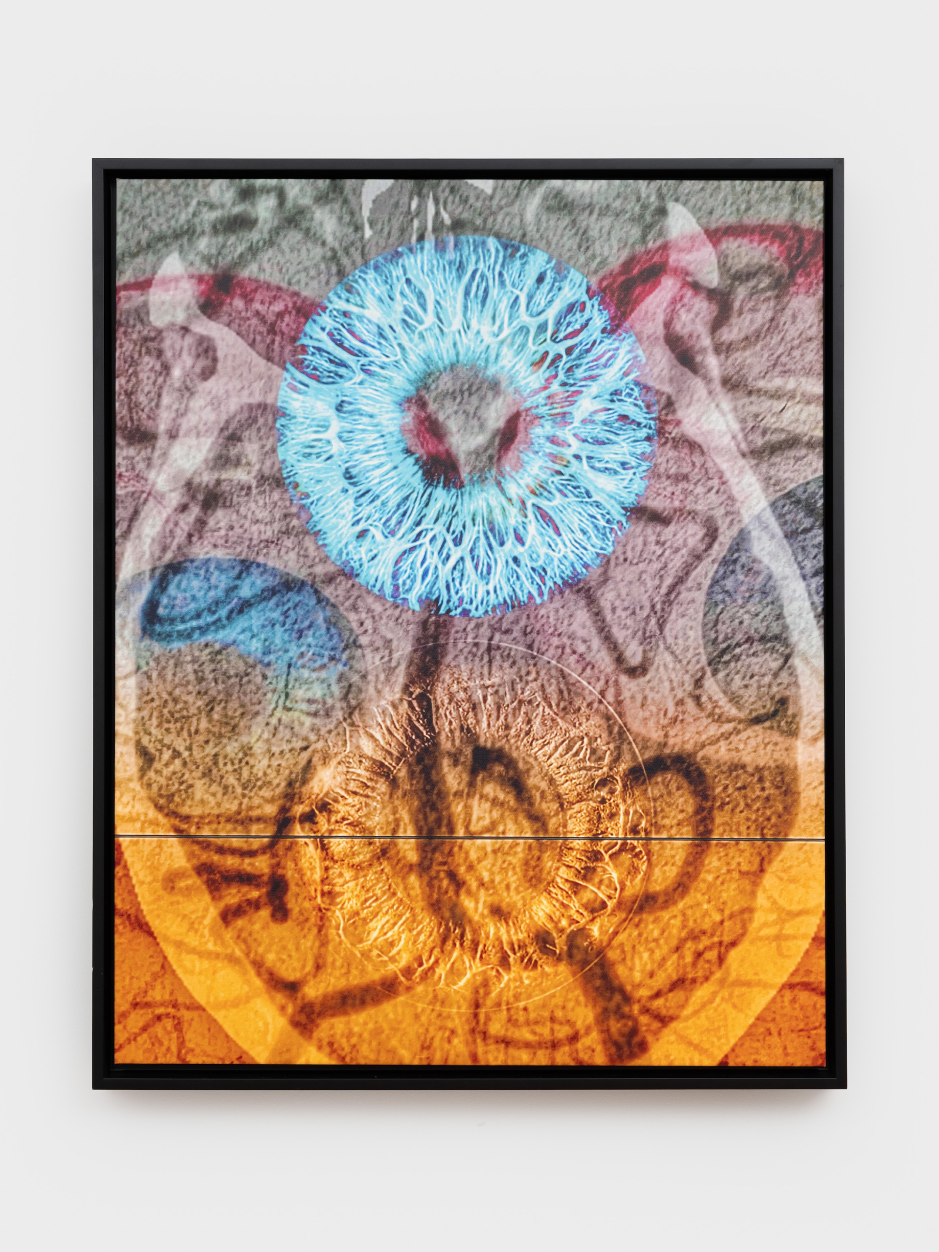 Collaborations - Robert Singer Art
